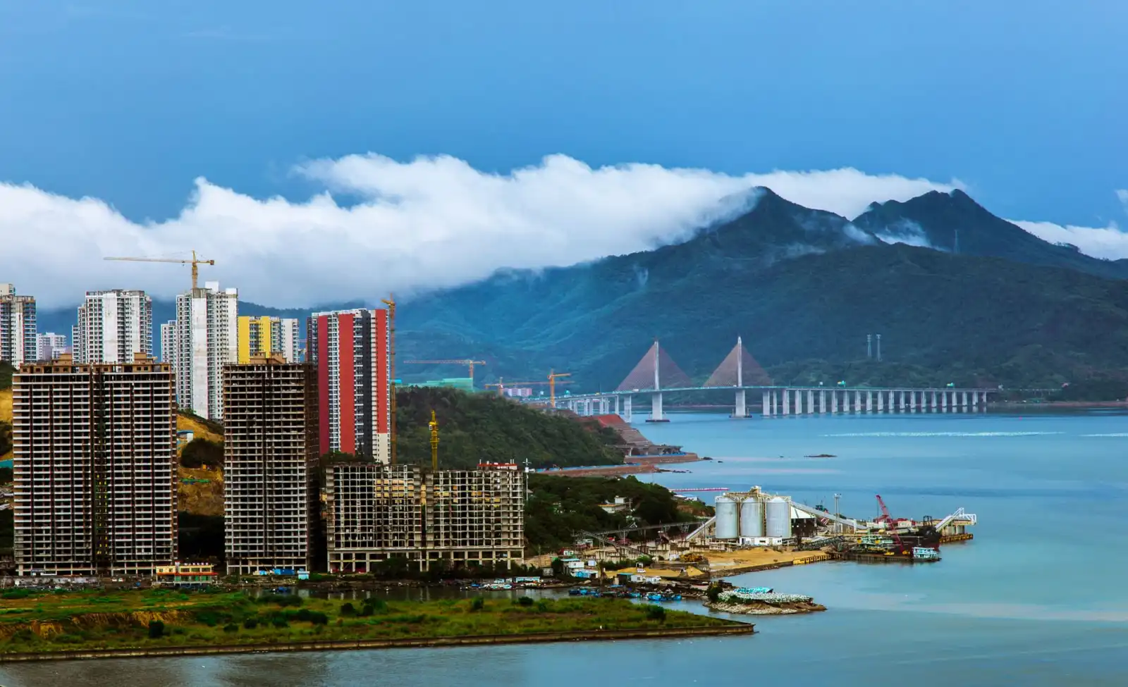 华中地区鲜切花保鲜技术要点及冷链物流方案解析