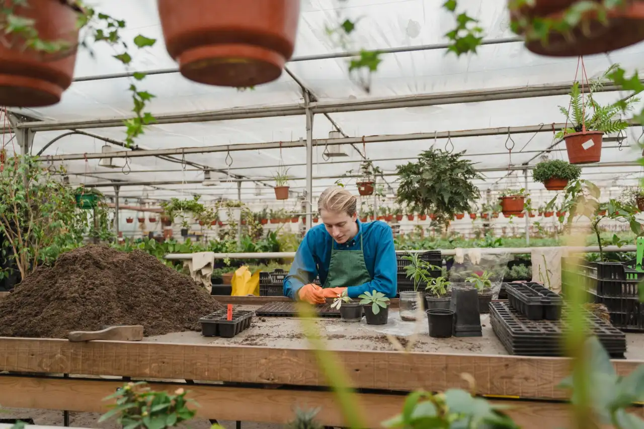 盆栽植物温室种植环境调控技术对比及适用场景分析正文配图 1